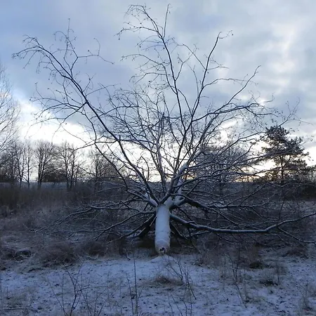Apartmán Zwei Mit Wintergarten