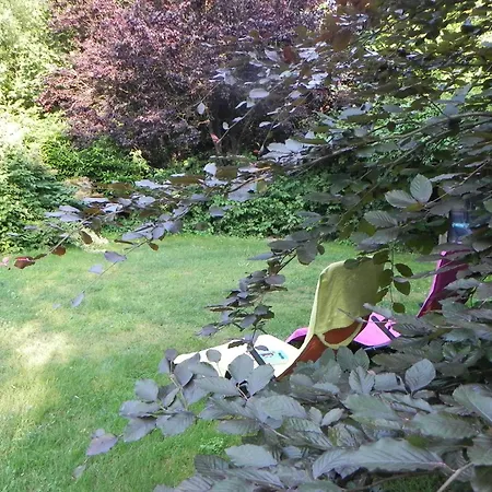 Zwei Mit Wintergarten *